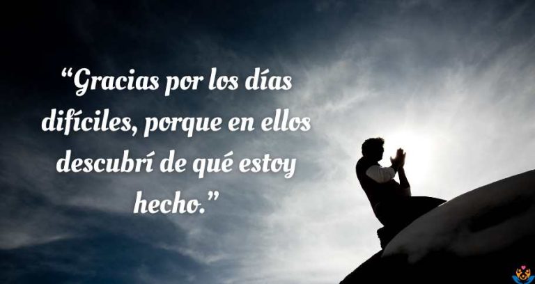 frases de agradecimiento